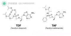 ҸҩTAFTenofovir alafenamideȡŵΤ